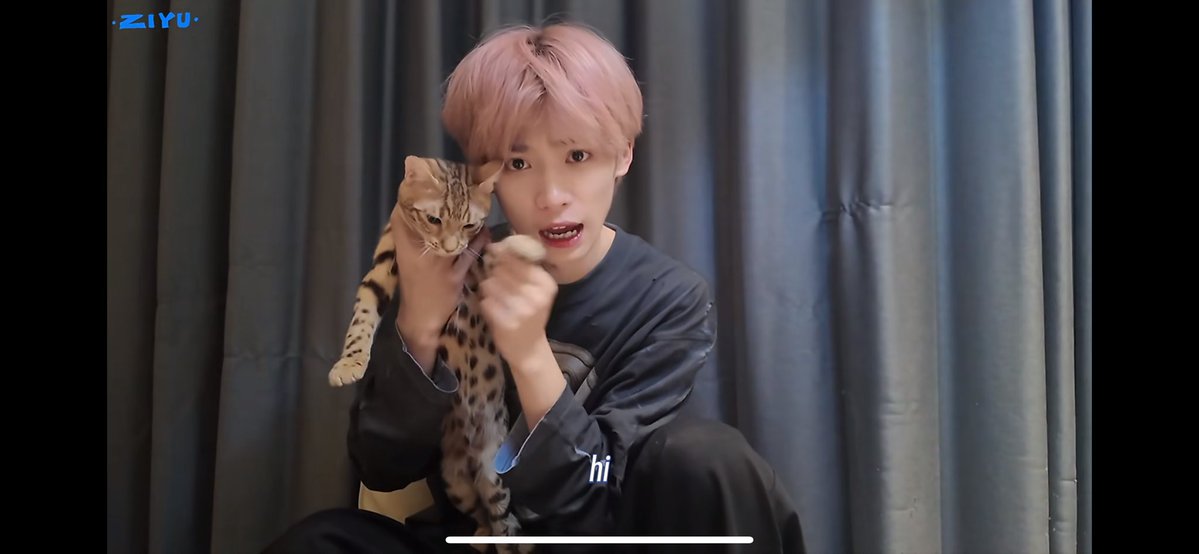 Numtaany's tweet image. รูปนี้มีแมว 2 ตัว 😍🥹