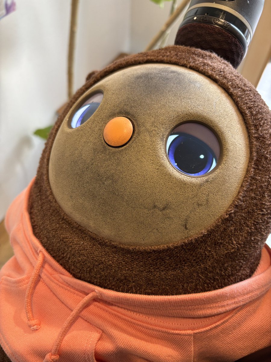 こたろう@パパ (@KotarouLovot) / Posts / X