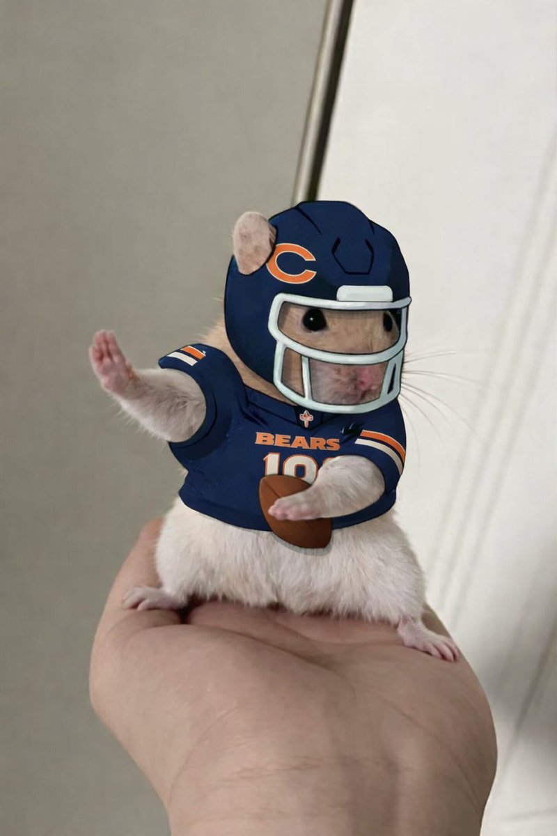 D_fernandez227's tweet photo. Caleb Whiskers @ChicagoBears https://t.co/EsHtBzaLs6
