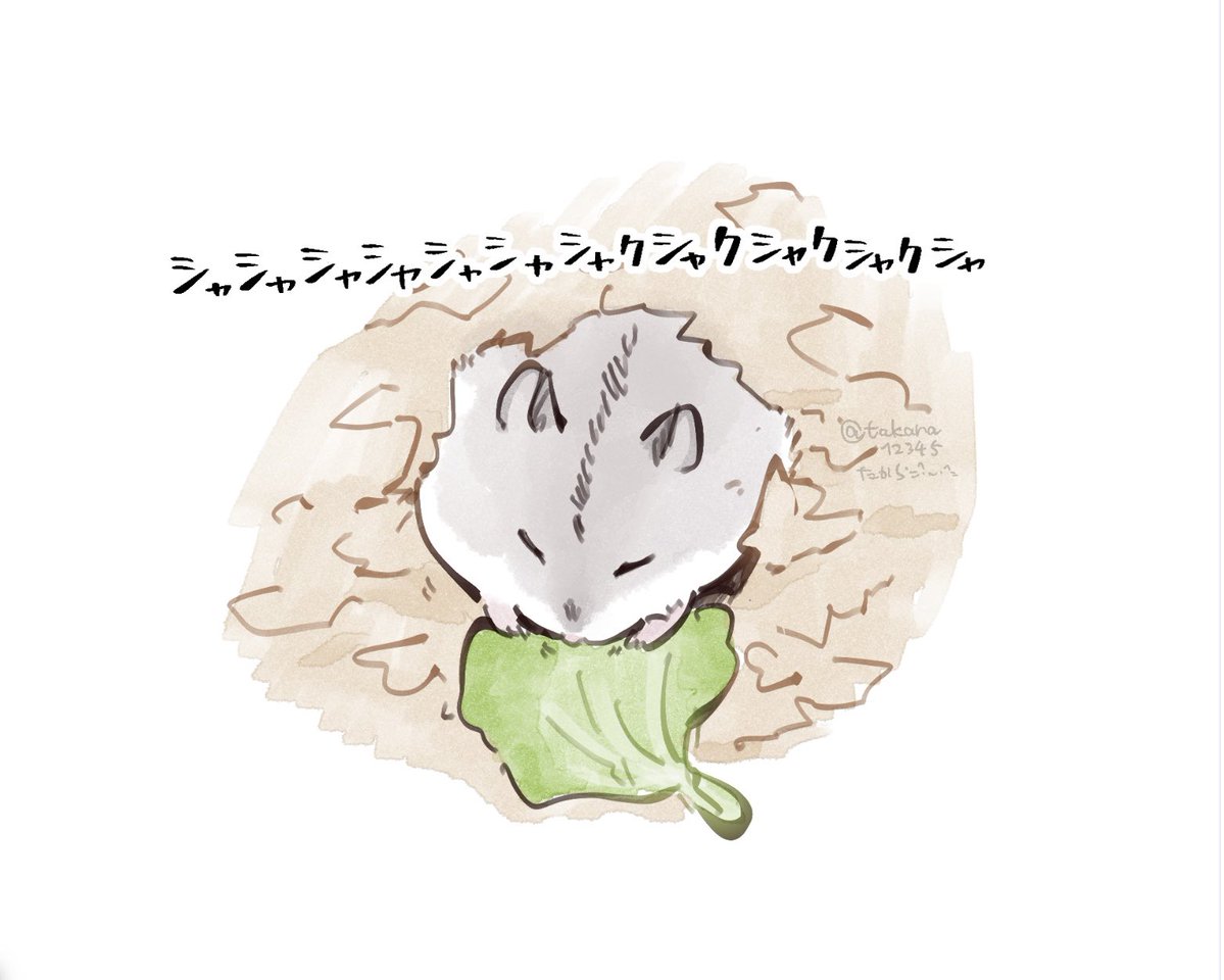 はむすたから＠はむスタンプ (@takara12345) / Posts / X