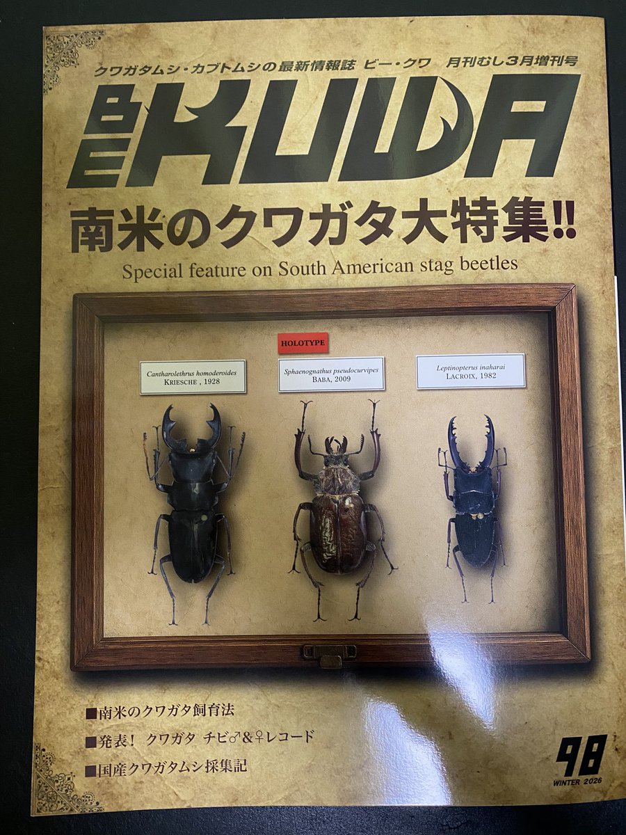 最新号（98号）のタイトル画個体 すげぇよな、 この太さ、この体表の美
