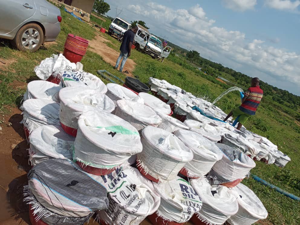 Farmexecutive's tweet image. The Egbejila fish farm cluster in Kwara State produces an average of 20,000kg of catfish daily. This generates approximately ₦50 million per day, ₦1.5 billion per month, and ₦18 billion per annum. Note that there are nine other similar clusters in the state or even more