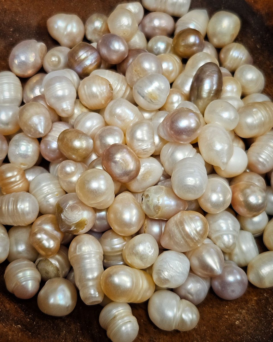 Did you know crystal healers work with pearls - not just for jewellery!
They can help with; purity, emotional control, irritability, feminine sexuality &amp; qualities, fertility, childbirth, focussing the mind, wisdom, anti-social behaviour, digestion, biliousness, &amp; bloating. 🦪💎