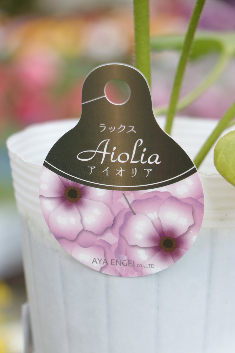 花らっきょ様 ♡リクエスト2点 ✨まとめ商品✨ありがとうございます♪☀️ 💖 SANRIO 💖 ㅤ$7+shipping THESE THINGS SELL ORDER DM ✉ ㅤ#sanrio