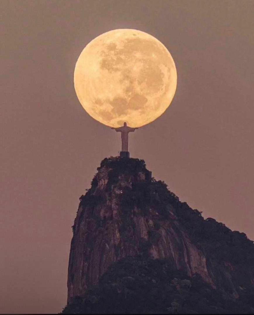 Confidence tweet media