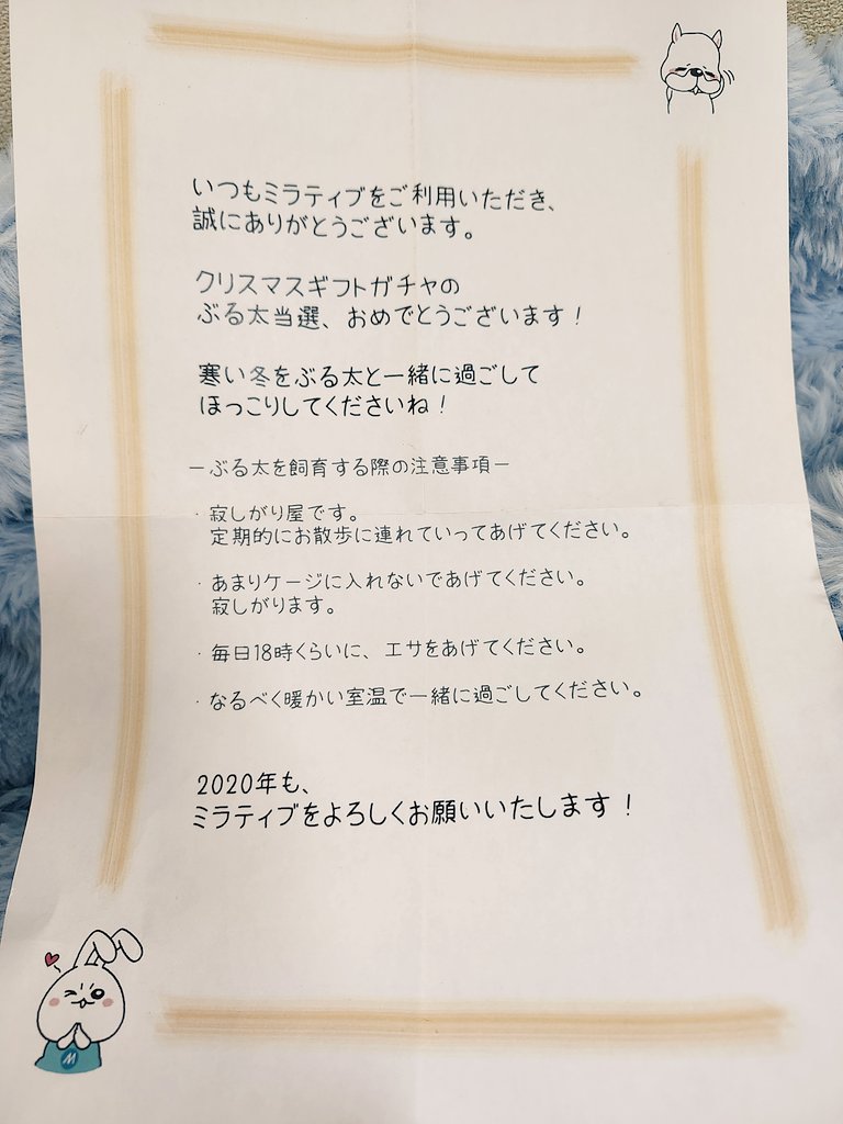 ミラティブ コイン 値段 (99) 사진