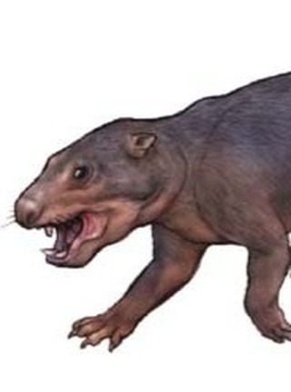 GenAlphaVerse's tweet photo. What is the name of this dinosaur? https://t.co/q127FuIF2i