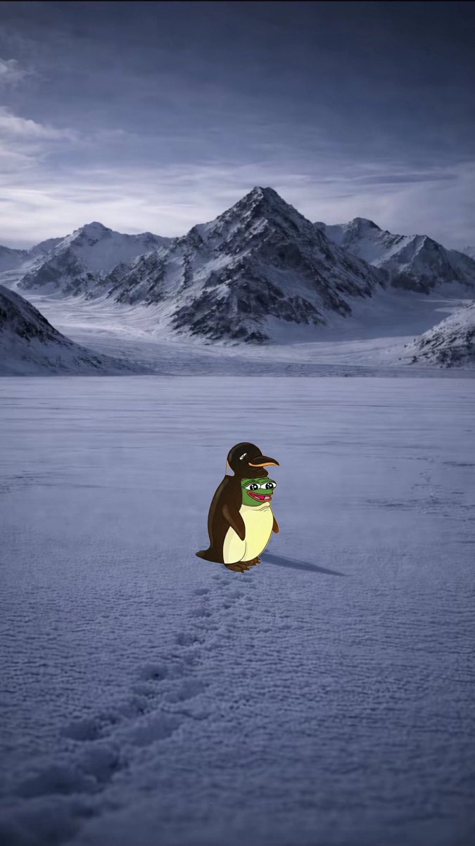 Peepofanpage's tweet photo. Penguin back gets all the smoke.   Front side loading 🐸 https://t.co/aLkvQIydIw