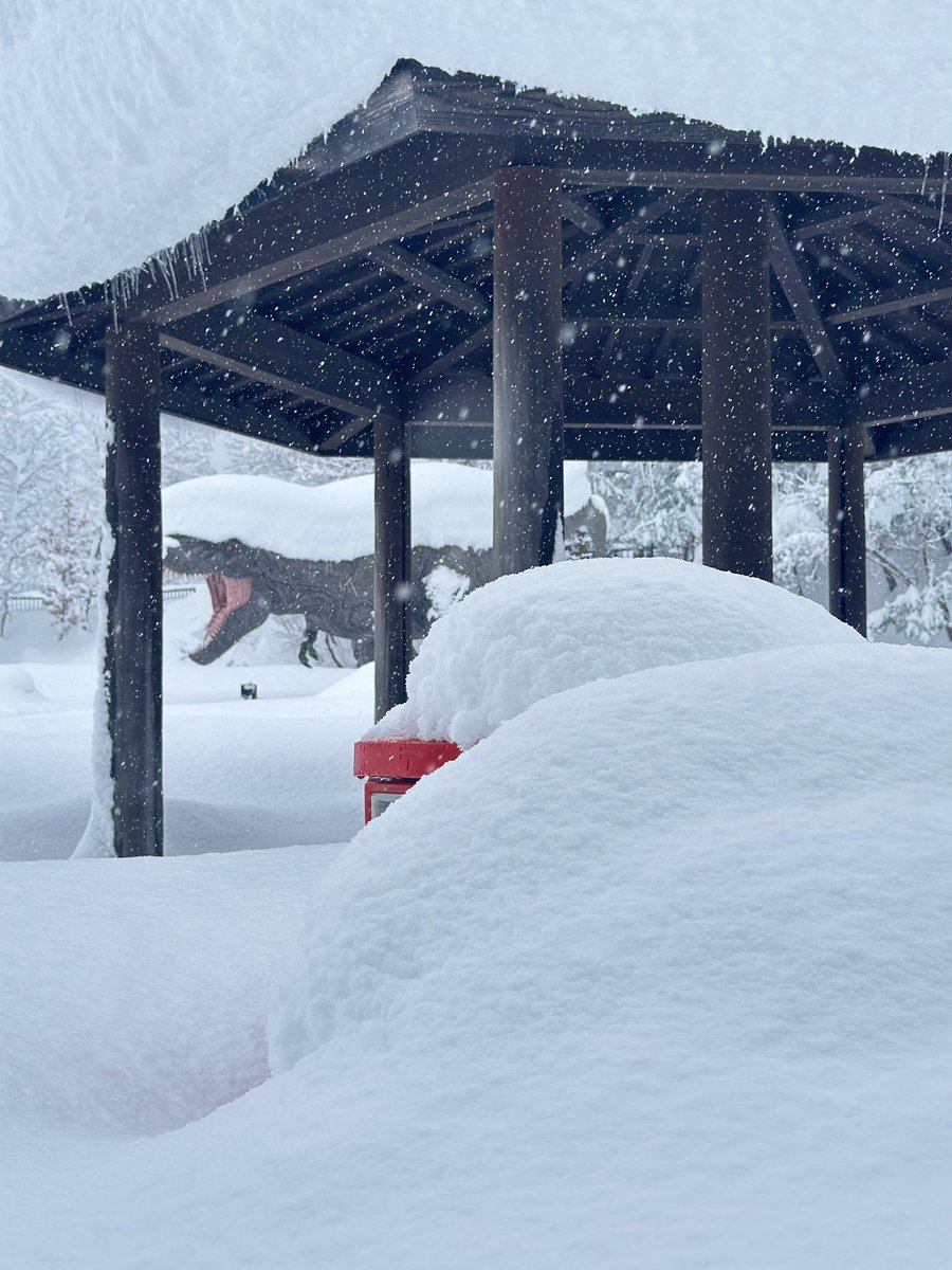 FukuiDinosaurs's tweet image. 今日の恐竜博物館🏛️
雪に埋もれております❄️❄️❄️