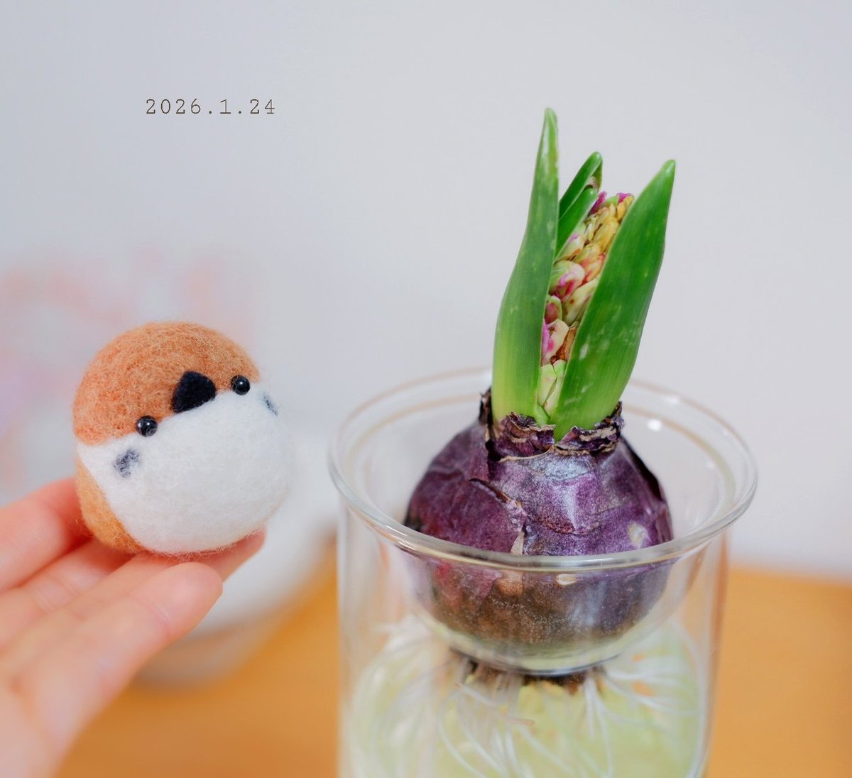 wool felt_ miyokko tweet media