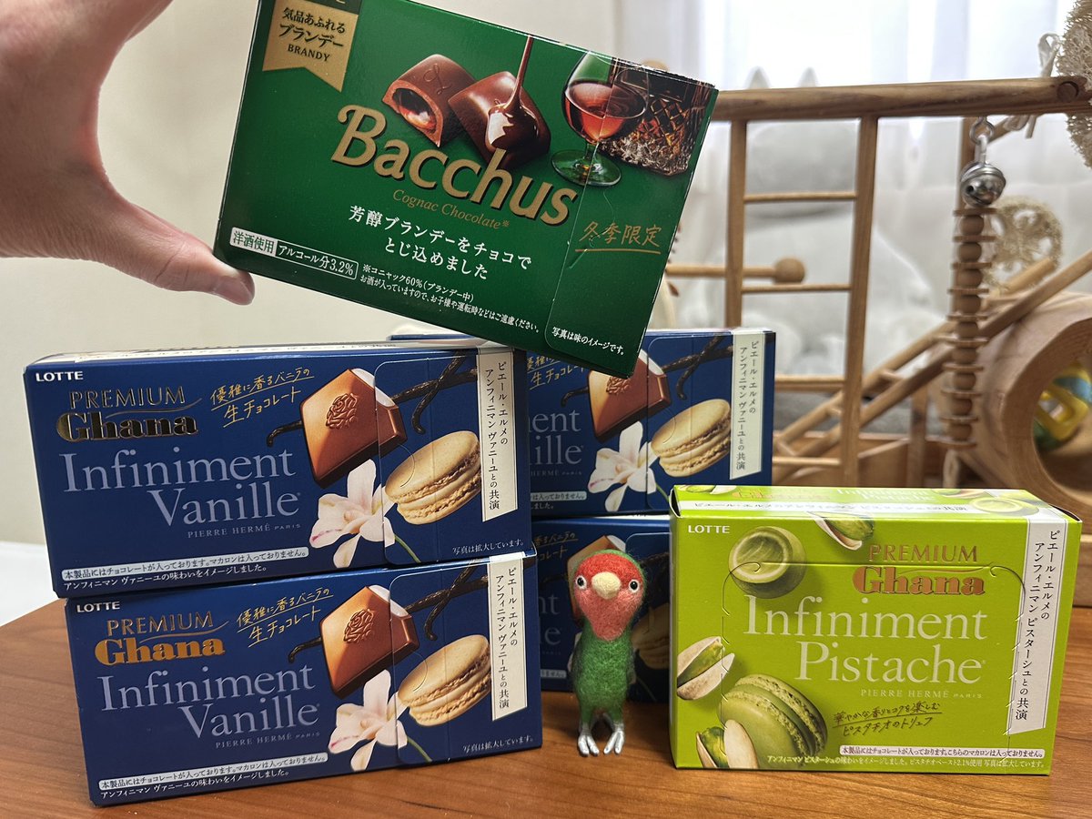 チョコレートはしばらく買わない宣言して間もなく🍫ෆ˚* 花鳥園に