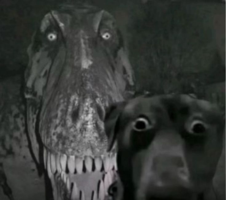 𝐄𝐋𝐈 ᝰ tweet media