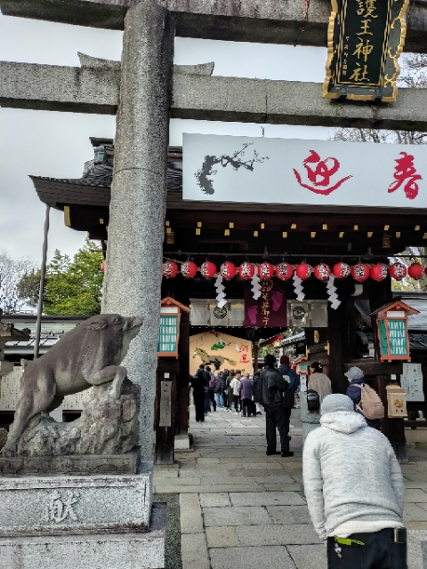 bigone3012's tweet photo. 初詣は今年も宿から近い和気清麻呂公の護王神社へ。おみくじは大吉。「心を正直に 行いを慎み 人を慈しみ助け 信心怠りなく」何事にも励んでいきたいと思う。
#初詣　#和気清麻呂　#護王神社　#京都ブライトンホテル　#京都 https://t.co/IrTUdgiHQi