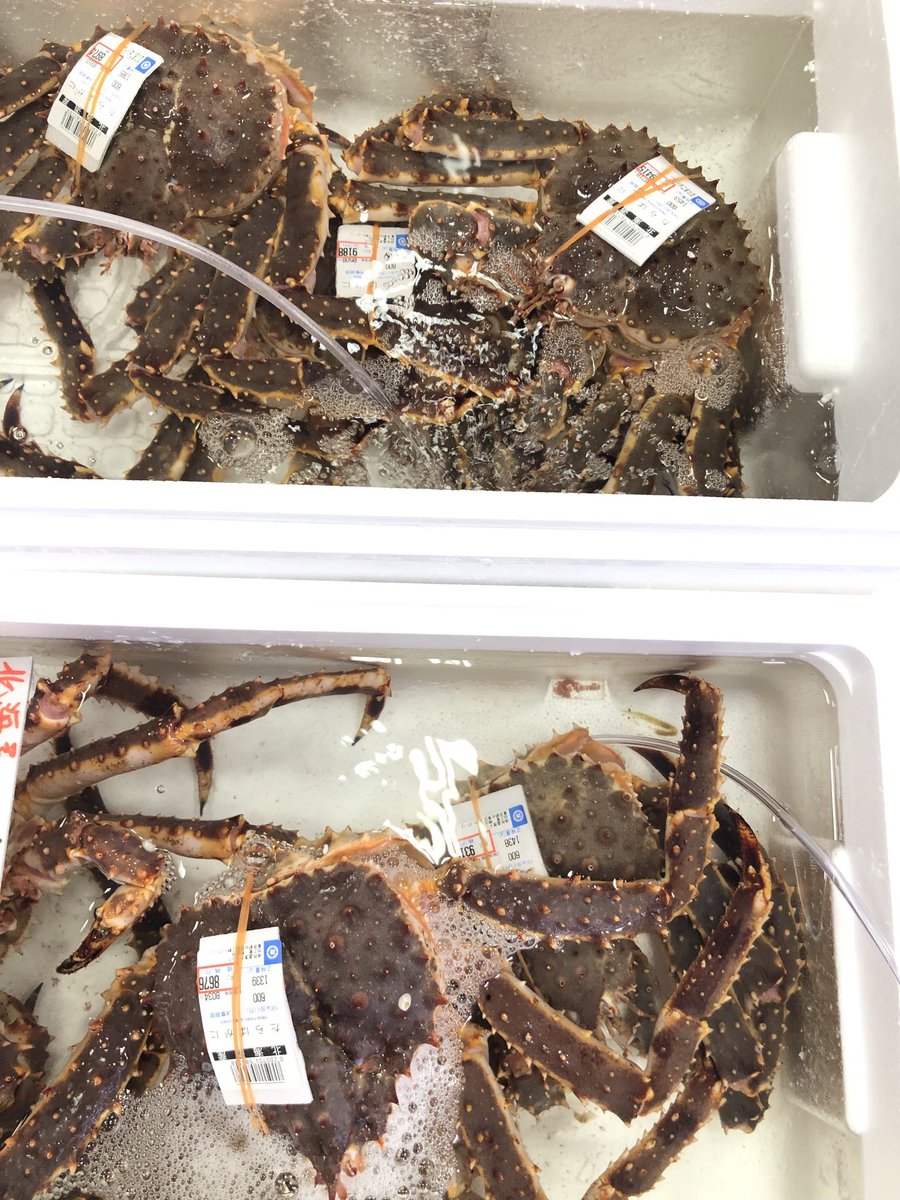 🦀カニ🦀カニ🦀
