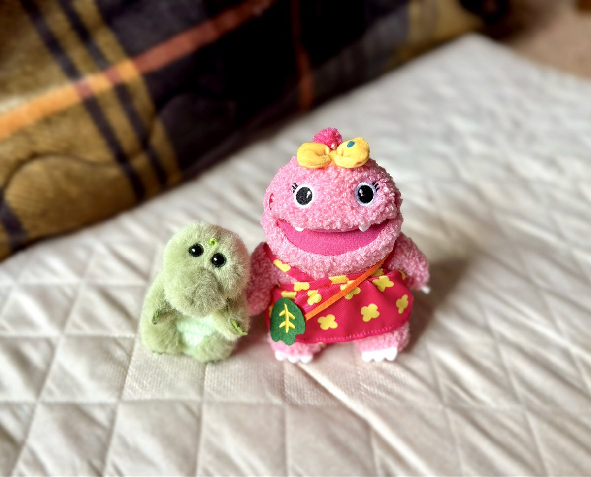 がんこちゃーん❣️