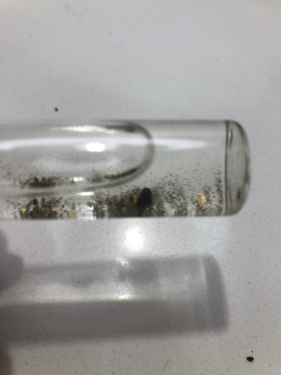 Kyle Thorsen tweet media