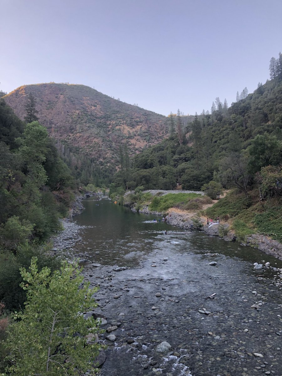 Kyle Thorsen tweet media