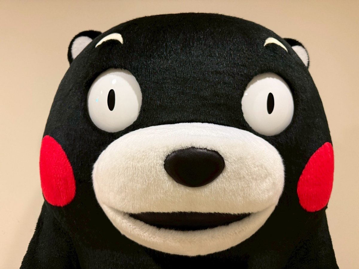 くまモン【公式】 (@55_kumamon) / Posts / X