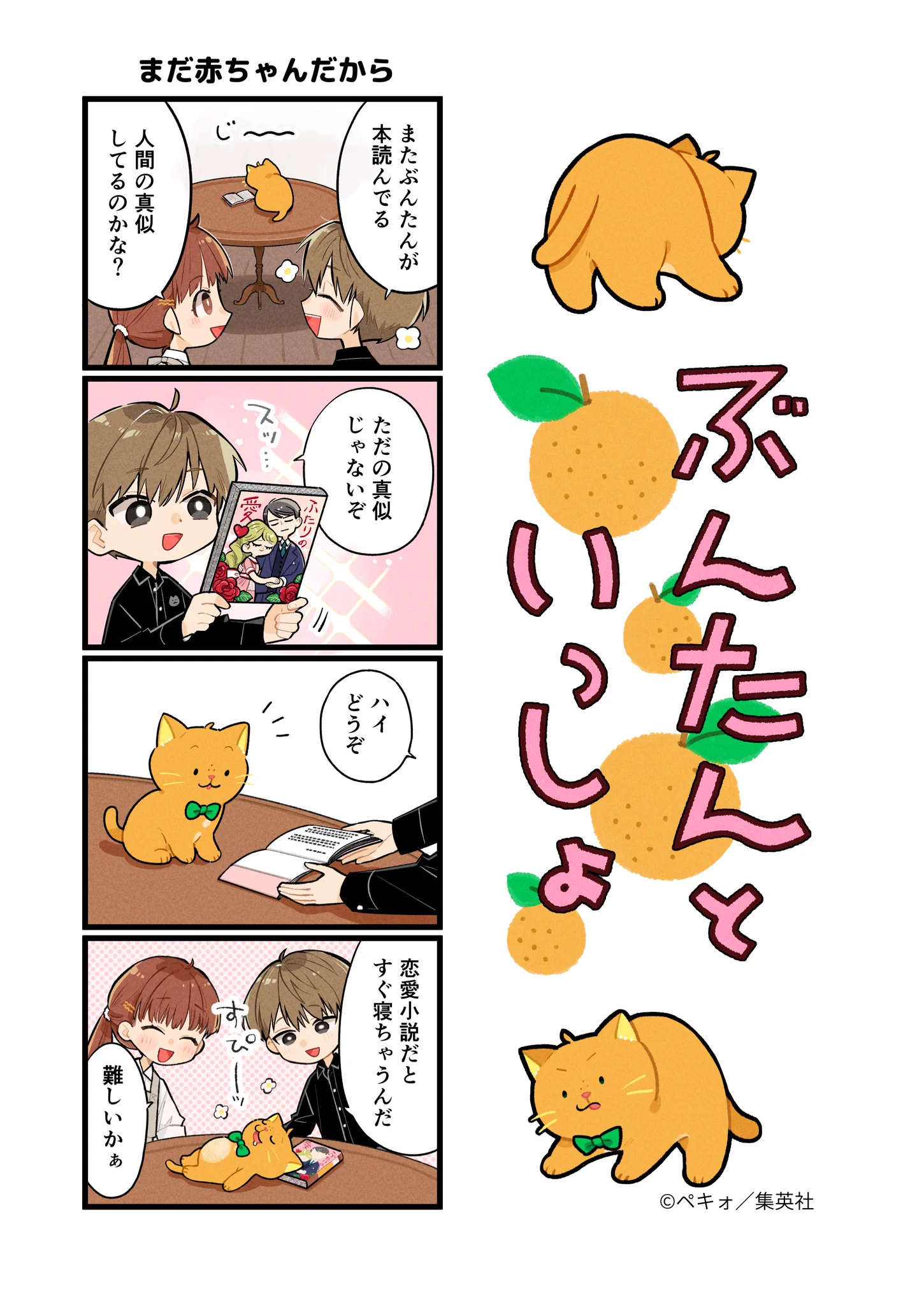 ＊cherry＊ページです。 他の方の購入はお控えくださいね！ 集英社オレンジ文庫 on X: 