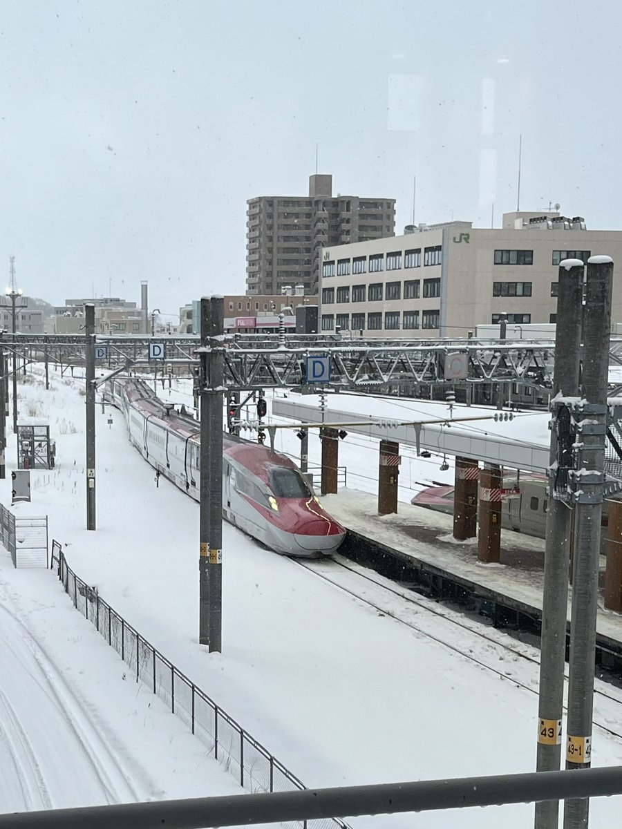 雪の中のこまち🚄