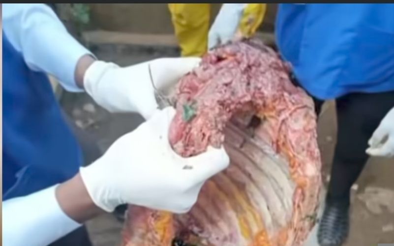 Cannibalism in Bafia: A Man Kills and Consumes His Uncle’s Flesh

A shocking and extremely serious incident has plunged the town of Bafia, in the Centre Region, into shock and disbelief. A young man identified as Ayouba is accused of killing his uncle, then cooking and consuming