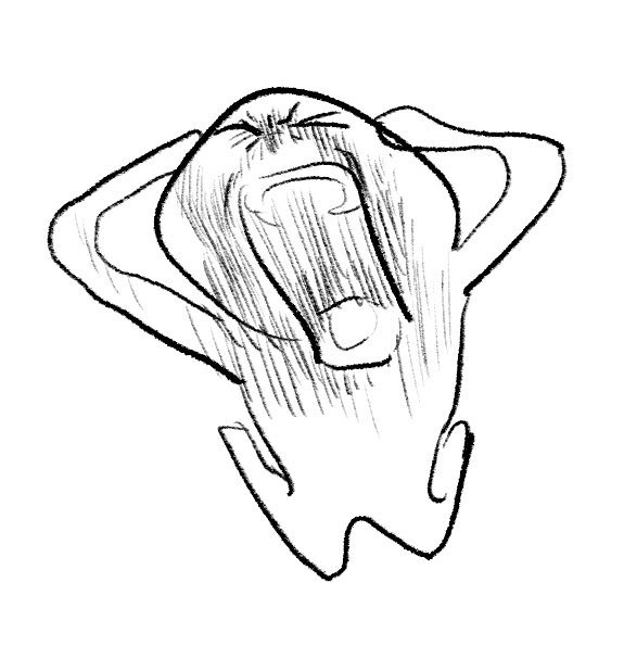 蘋果醋 🤤 tweet media