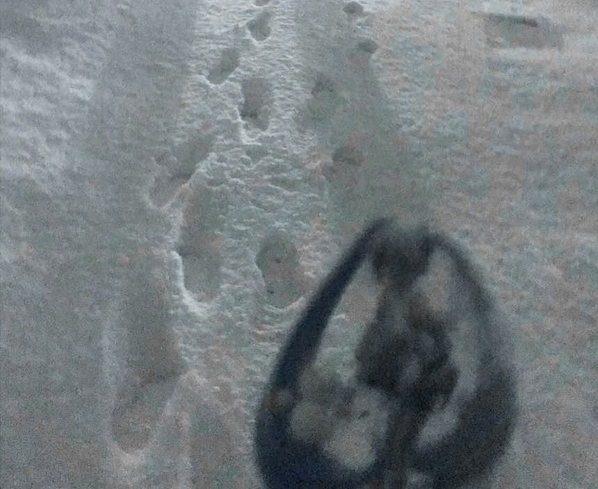 💤 (@zz82123879) on Twitter photo 