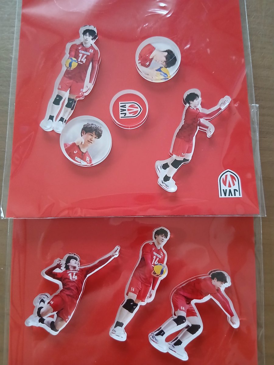 シャカシャカパーツ2種類🏐届いた🥰 バレーボール男子日本代表2025新