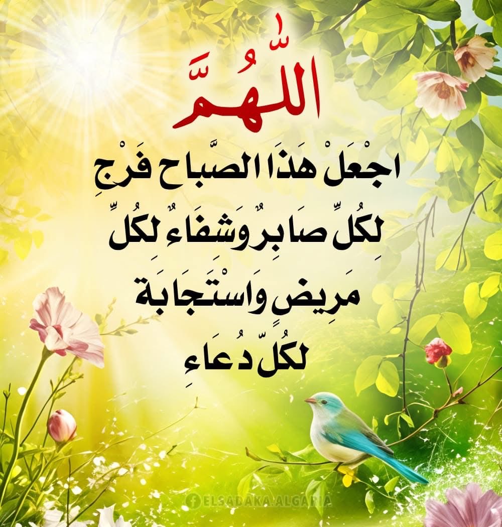 عبود Ⓜ️ (@ct057qubfpcn3u9) on Twitter photo 