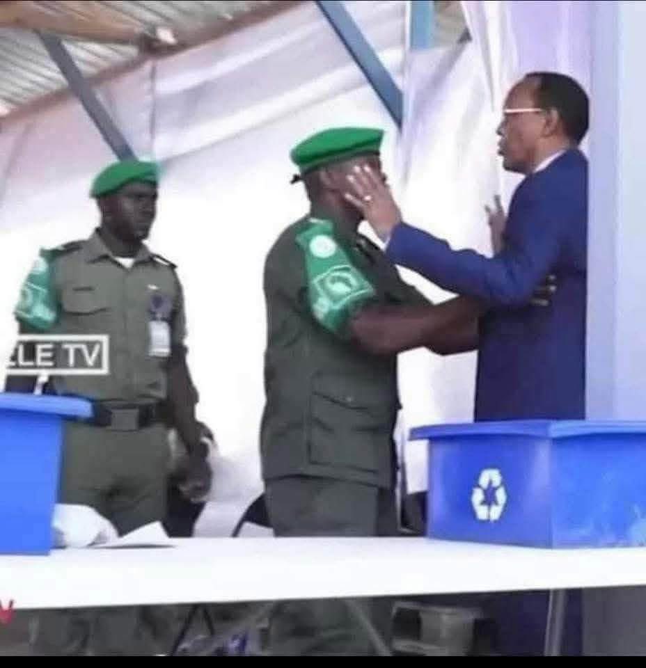 Heba Goulet tweet media