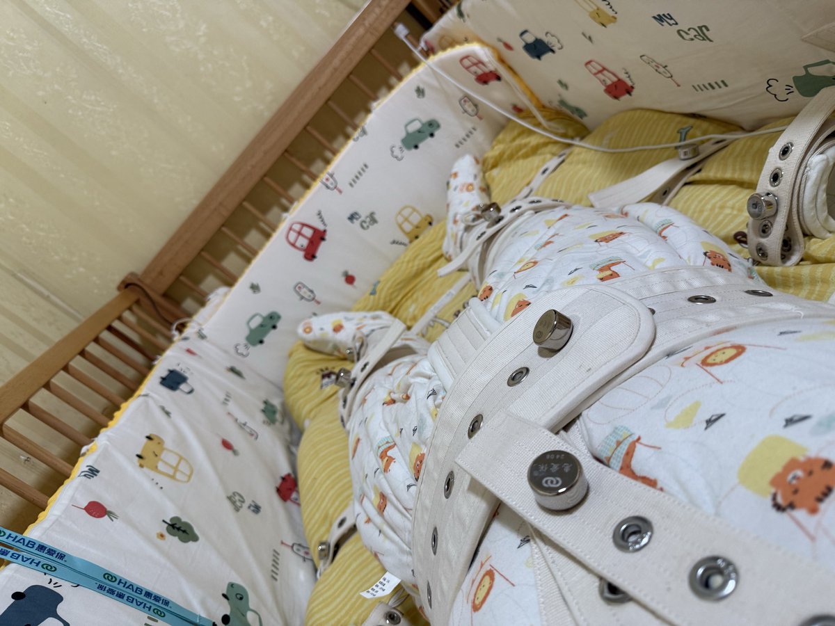 CC（寻路中） tweet media