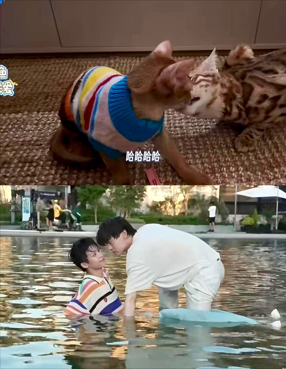 SweetCornHQ_'s tweet image. Good cosplay

#TianXuning #田栩寧 #ZiYu #梓渝  #XuNiYuSheng #栩你渝生 #Leipeng99 #Rayban #TianZiyu