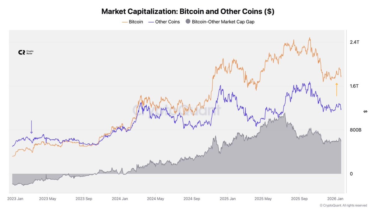 This was the first Bitcoin-only cycle in history. Others started with a  market capitulation more than Bitcoin in 2023. We closed it with Bitcoin  well above others.