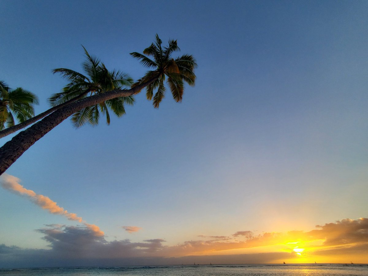やっぱりハワイページ やっぱりハワイ！ | ウェルカムキャンペーン