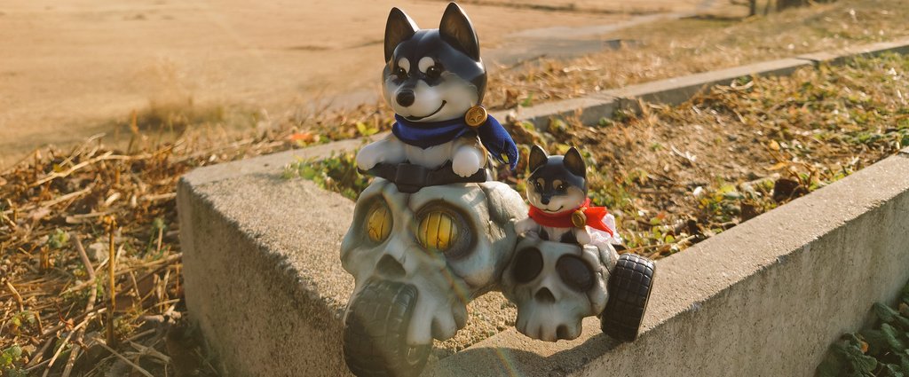 お外が似合うなぁ❤(ӦｖӦ｡)