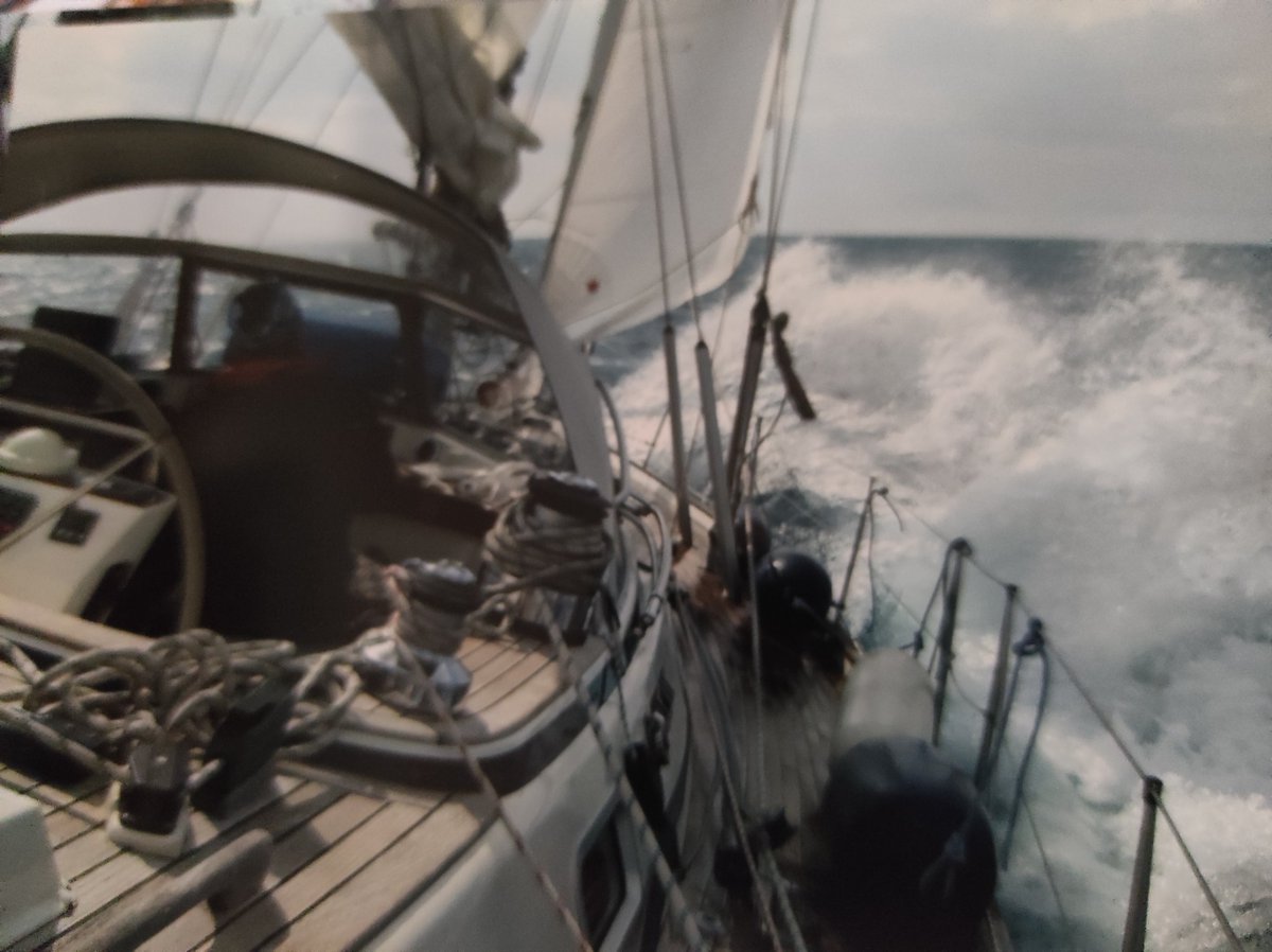 Arturo Pérez-Reverte tweet media