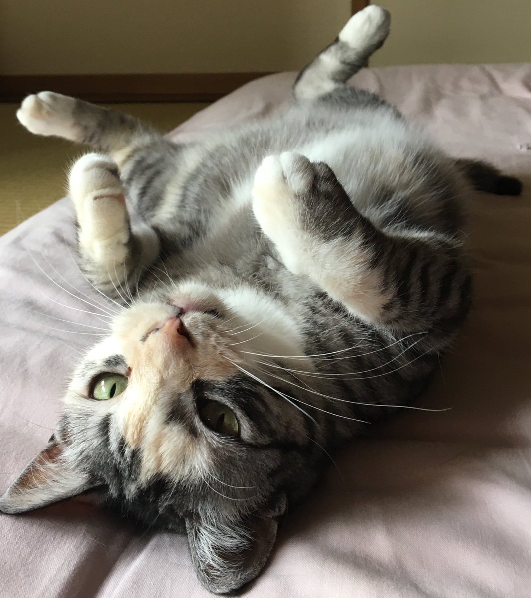 10年ニート tweet media