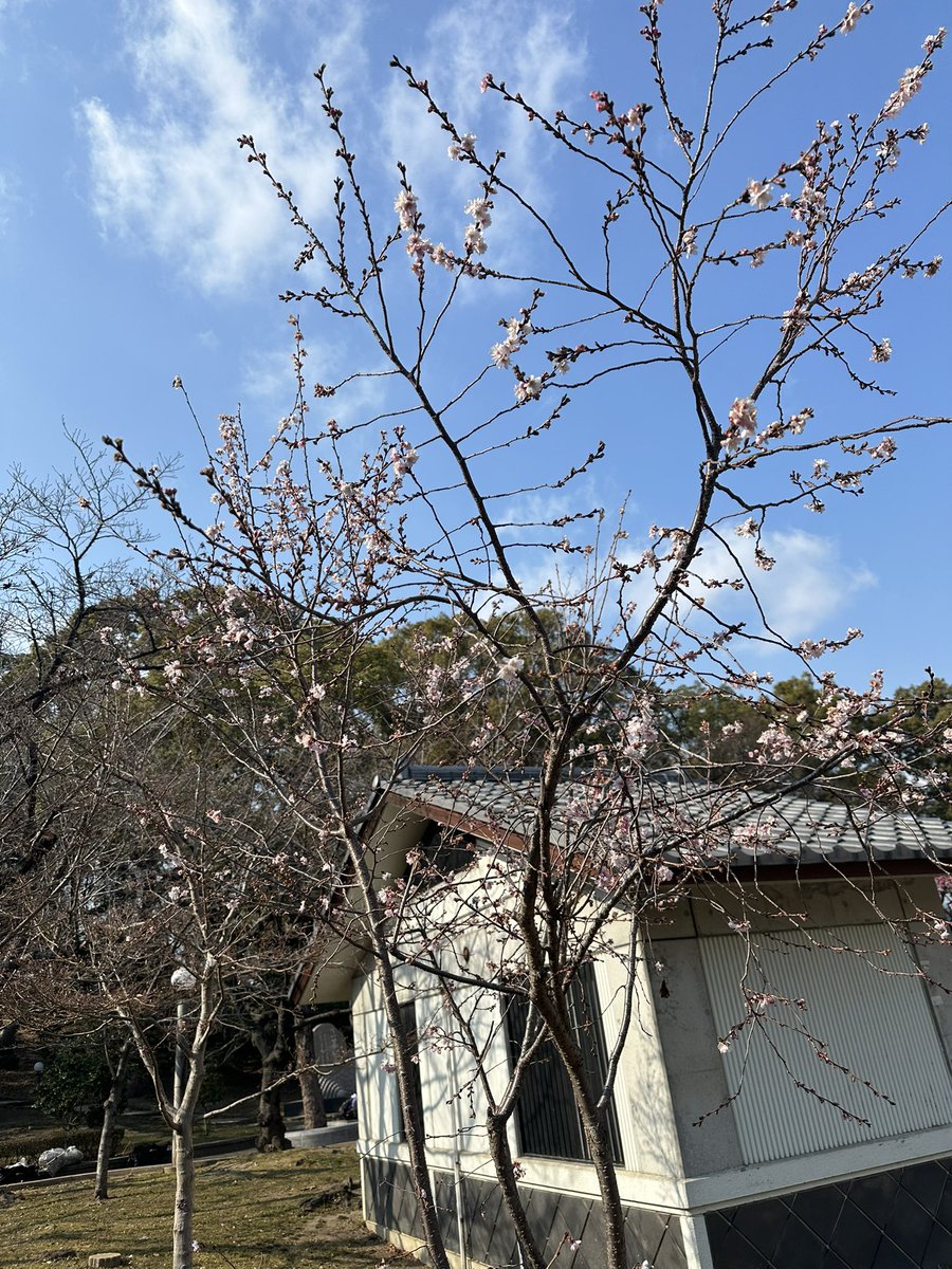 今日は寒すぎた😂風もあり指が痛かった
でももうすぐ春がやってくるんかな
1時間歌って退散