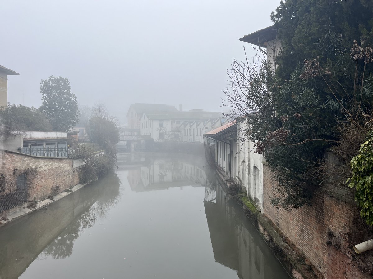 stemauri75's tweet image. 