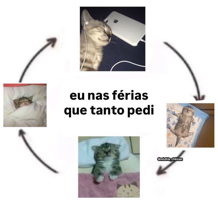 odeiootaco's tweet image. 