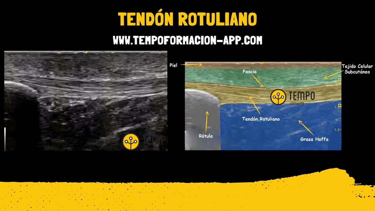 Tempo Formación tweet media