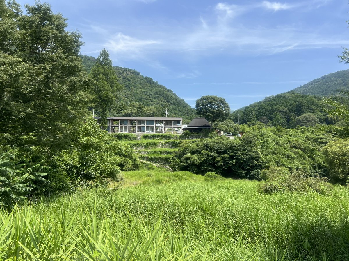 chin_rena's tweet photo. この企画、今回のゲストは広島で放牧をしながら土地を開墾する放牧酪農をされるサゴタニ牧農の久保宏輔さん。ほんとーに美味しい牛乳をつくられる。久保さんと共に、動物と暮らす視点をもってフィールドワークもします！ https://t.co/g1TrE4MwRs