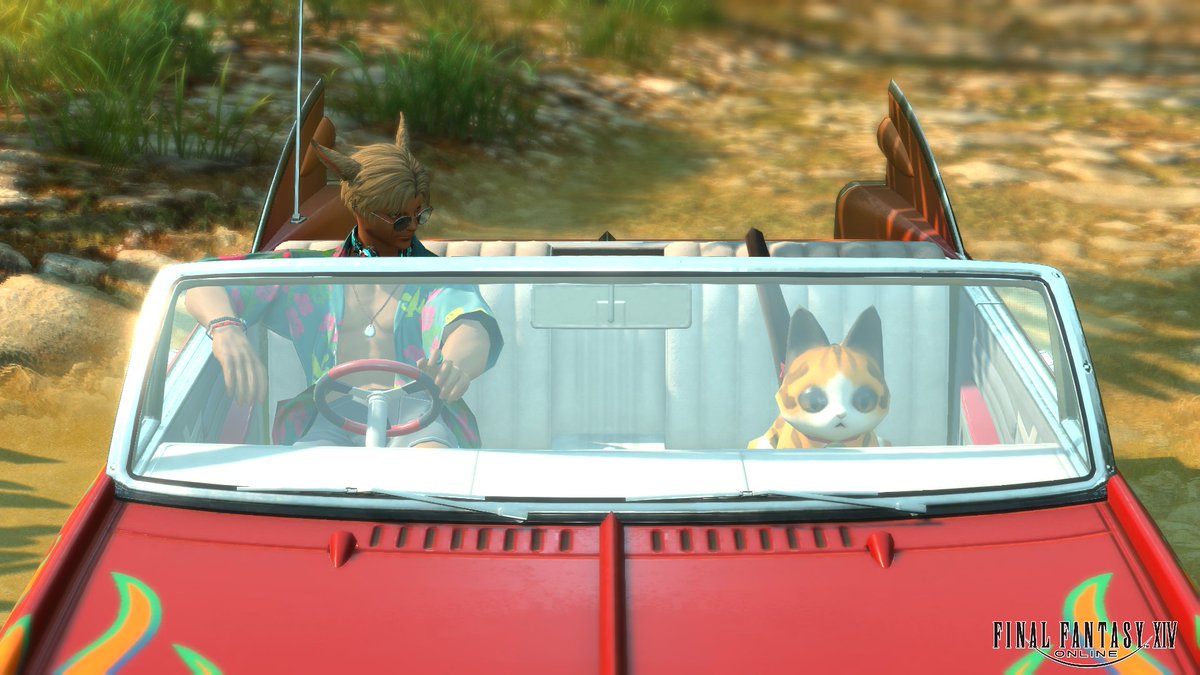 Post by Yasushi🍏 on X: 猫かわちい