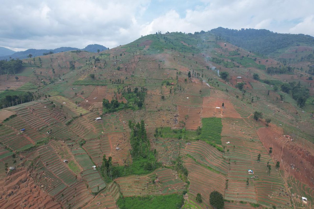 Sayuran tidak dilarang.

Yang salah tidak ada regulasi bahwa kawasan A, B, C khusus peruntukan komoditi A, B, C, selain untuk fungsi ekonomi, fungsi ekologi juga diutamakan. 

Tong sarakah, gunung dibabad beak jadi kebon sayuran model kieu.

Enya nyaho TANAH MANEH PRIBADI!