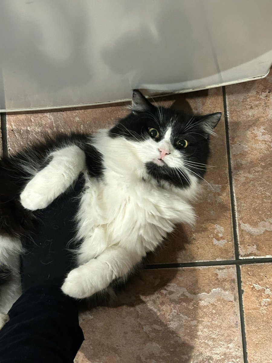 JournoJones05's tweet image. Good morning all. 

I understand there are a few protests today. If you are travelling - especially alone - please keep safe. 

Never lose your voice 🇬🇧🩷