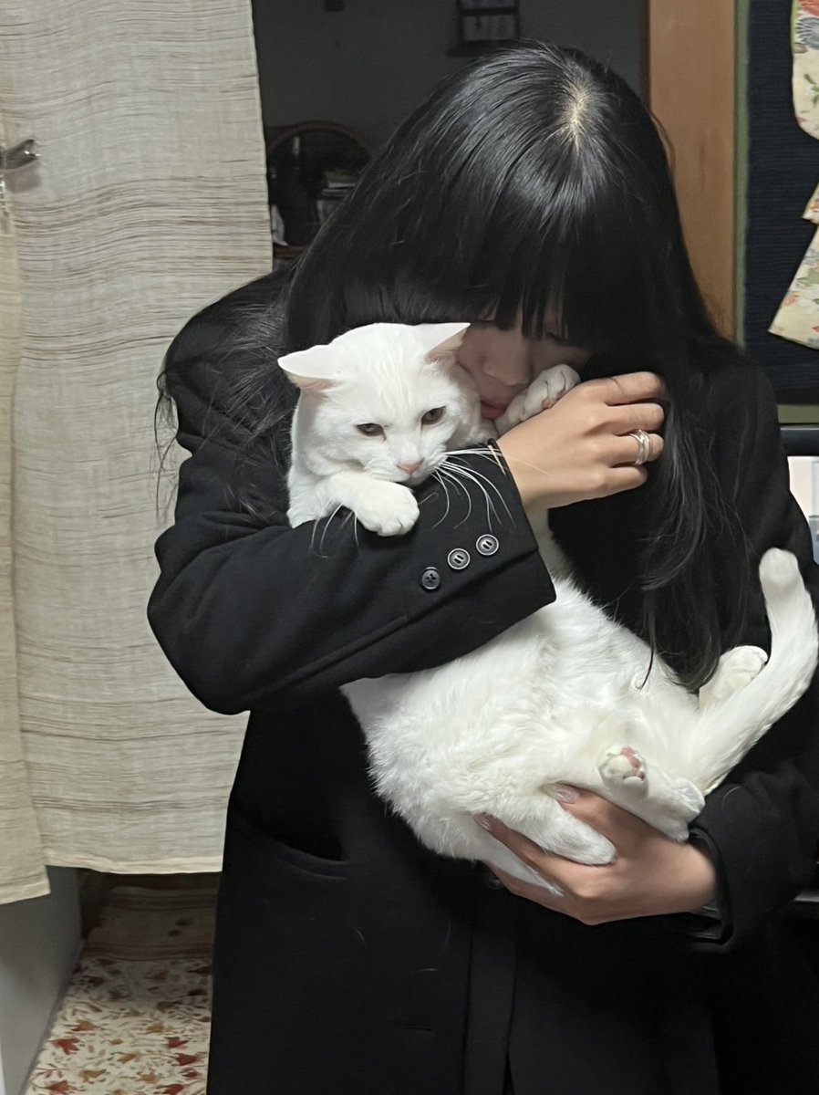 Q (@ioev9_) on Twitter photo 