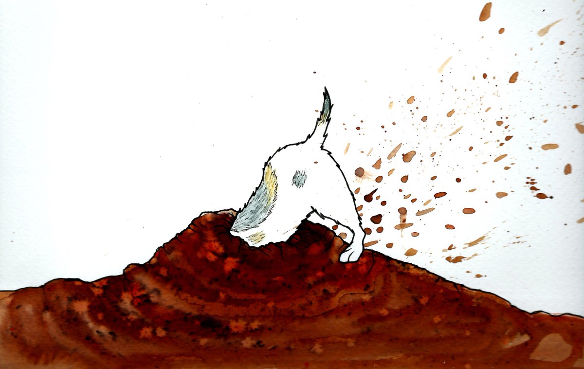 Richard Ashworth tweet media