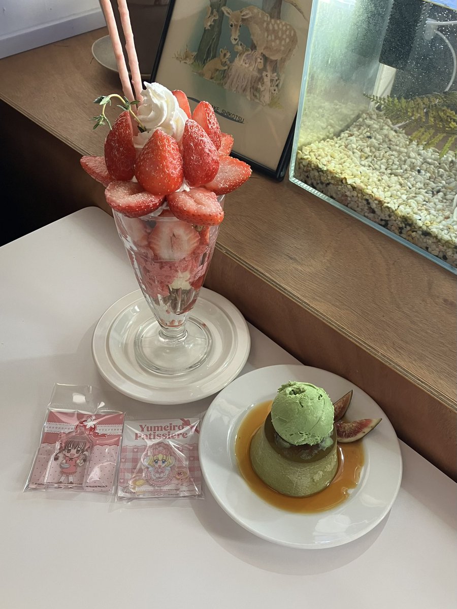 소문으로만 듣던 궁극의 딸기 파르페 𓈒 𓈒 🍓

📍 합정 수택