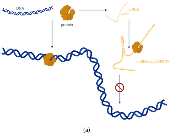 Biomed_MDPI's tweet image. #FutureOfMedicine #BiotechAdvancements 
👾💃 Dive into the World of Biomedicines with Us! 💖
🧐 Title: lncRNA Biomarkers of Glioblastoma Multiforme † 😇
👉 mdpi.com/2227-9059/12/5… 🔗
#ScienceAndMedicine #HealthDiscovery #ResearchAndDevelopment
@MDPIOpenAccess   @MDPIBiologySubj