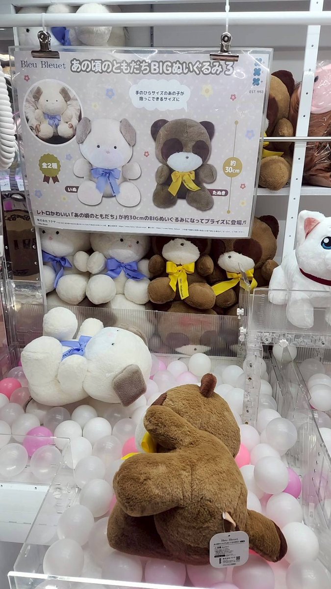 あの頃のともだちBIGぬいぐるみ3 たぬき いぬ 全2種コンプリート